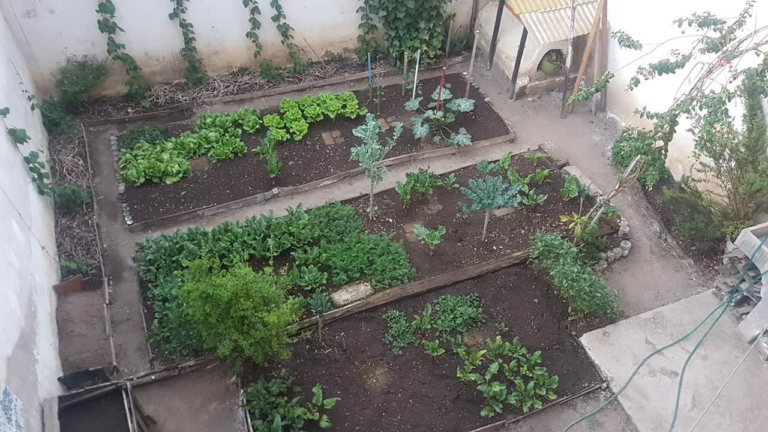 6e2945ac9ce1e24971ca23b5e65a88f2.0