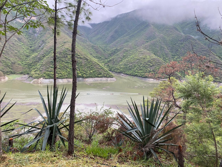 WhatsApp Image 2025-09-06 at 14.06.11 (4)