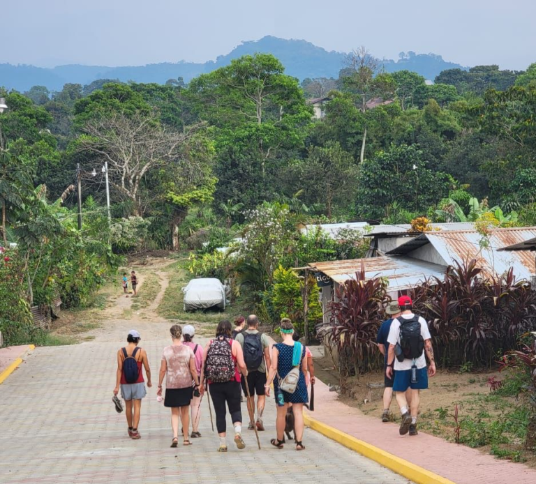 WhatsApp Image 2025-09-12 at 13.39.18